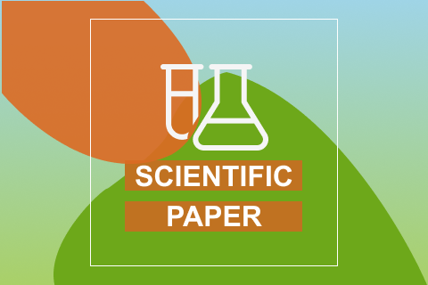 paper