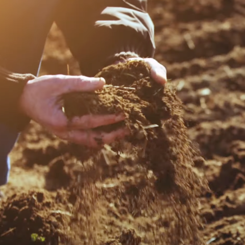 Sign the Mission Soil Manifesto - thumbnail