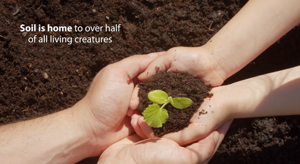 Why is soil biodiversity important - thumbnail
